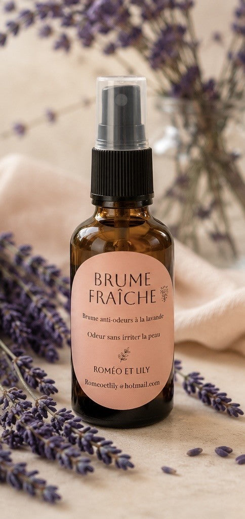 Brume franîche - Vaporisateur anti-odeur à la lavande 100 ml