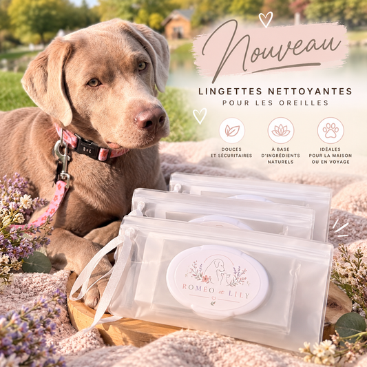 Lingette nettoyante pour les oreilles
